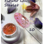 Гель с сухоцветами Starlet Flower Gel 10, 5г